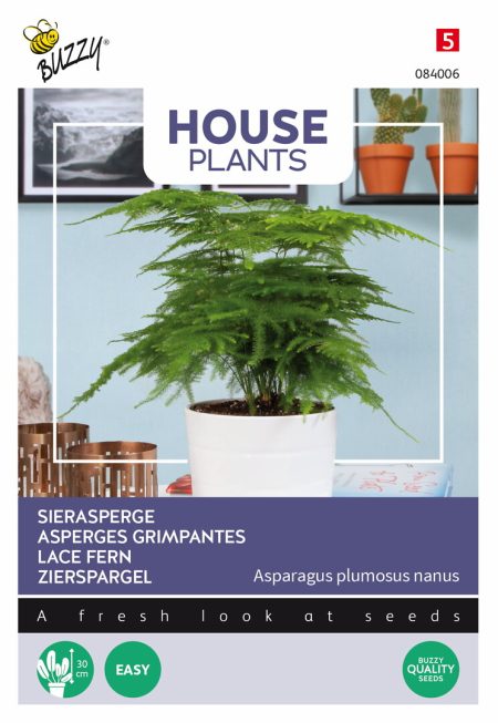 Asparagus 'unelma'